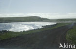 Bering Sea