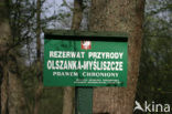 Bialowieza National Park