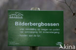 Bilderbergbossen