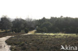 Lemelerberg en Archemerberg
