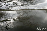 National Park De Alde Feanen