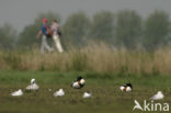 National Park De Alde Feanen