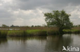 National Park De Alde Feanen