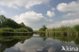 Nationaal Park De Alde Feanen