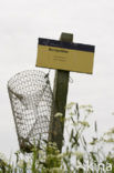 Nationaal Park Lauwersmeer