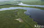 National Park Lauwersmeer