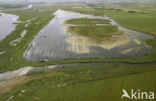 Nationaal Park Lauwersmeer