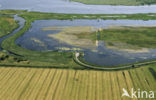 National Park Lauwersmeer