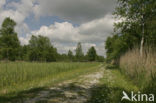National Park Weerribben-Wieden