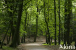 Nationaal Park Zuid-Kennemerland