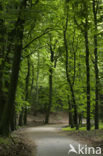 Nationaal Park Zuid-Kennemerland