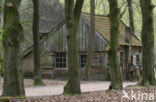 Netherlands open air museum