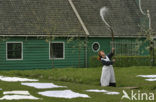 Netherlands open air museum