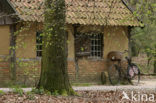 Netherlands open air museum