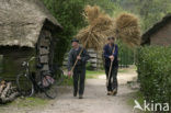 Nederlands Openluchtmuseum