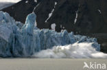 Spitsbergen