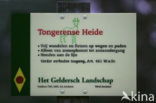 Tongerense Heide