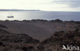 Isla Bartolomé