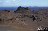 Isla Bartolomé