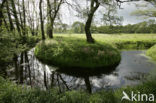 Nationaal beek- en esdorpenlandschap Drentsche Aa