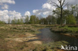 Nationaal Park Drents-Friese Wold