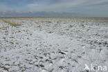 Noord Friesland Buitendijks