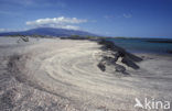 Punta Espinosa