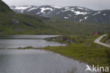 Gaullarfjell