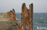 Heligoland