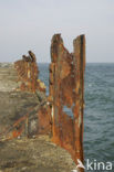 Heligoland