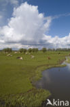 IJssel
