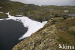 Jotunheimen Nationaal Park