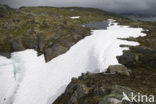 Jotunheimen Nationaal Park