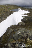 Jotunheimen Nationaal Park