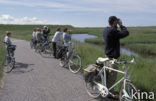 Lage land van Texel