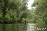 National Park de Biesbosch