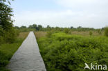 National Park de Groote Peel
