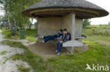 National Park de Groote Peel