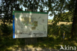 National Park de Groote Peel