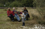 Nationaal Park Dwingelderveld