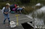 Nationaal Park Dwingelderveld