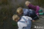 Nationaal Park Dwingelderveld