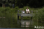 Nationaal Park Dwingelderveld