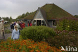 Nationaal Park Dwingelderveld