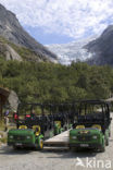 Nationaal Park Jostedalsbreen