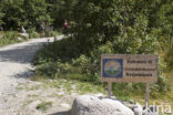 Nationaal Park Jostedalsbreen