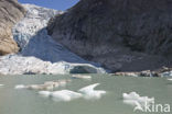 Nationaal Park Jostedalsbreen