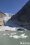 Nationaal Park Jostedalsbreen