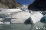 Nationaal Park Jostedalsbreen