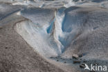 Jostedalsbreen National Park